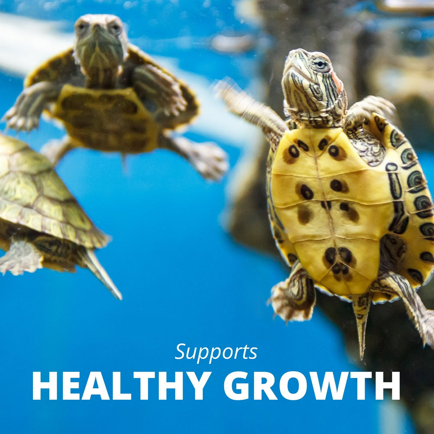 (2 pack) Tetra ReptoMin Floating Food Sticks for Aquatic Turtles, Newts and Frogs, 8.65 oz.