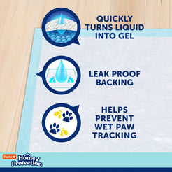 Hartz Home Protection Mountain Fresh Scent Dog Pads, 2XL, 30in x 30in, 20ct