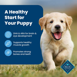 Blue Buffalo Life Protection Formula Puppy Dry Dog Food, Chicken & Brown Rice, 5 lbs.