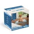 Vibrant Life Training Pads Ð Super Absorbent, Leak Proof, & Fast Dry Dog and Puppy Pee Pads Ð L 22_in x 22_in, 100_Count