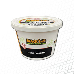 Mack's Natural Reptile Food 1 x Cup of 50 Large Superworms