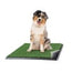 PETMAKER 20x25 Reusable 4-Layer Artificial Grass Puppy Pee Pad with Tray