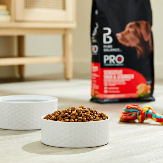 Pure Balance Pro+ Sensitive Skin & Stomach Dog Food, Salmon & Rice Recipe, 8 lb Bag