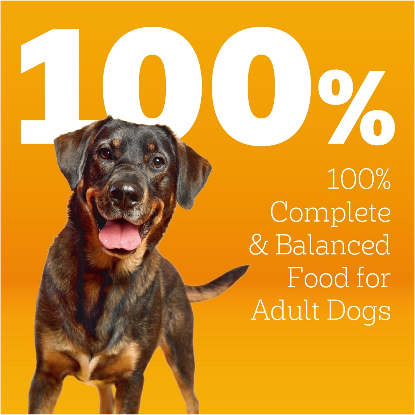 Pedigree Adult Dry Dog Food Roasted Chicken & Vegetable Flavor With Bacon Flavored Bites, 18 lb. Bag