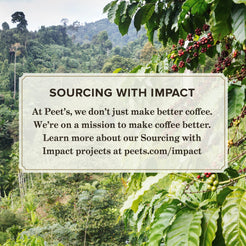 Peet's Coffee French Roast Premium Dark Roast Single Serve Coffee Pods, 48 Count
