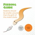 Mack's Natural Reptile Food Pinkie Mouse 10 Ct.