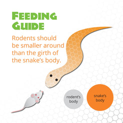 Mack's Natural Reptile Food Hopper mouse 10 ct.