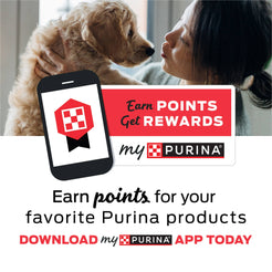 Purina Puppy Chow Dry Dog Food, Tender & Crunchy High Protein Real Beef & Rice, 30 lb Bag