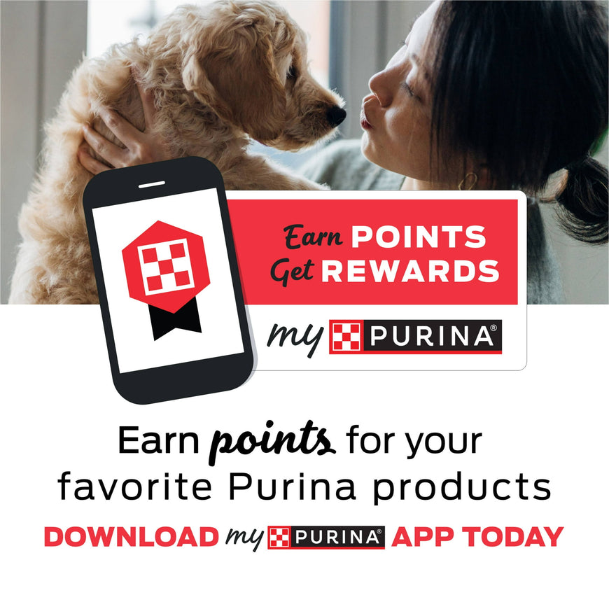 Purina Puppy Chow Dry Dog Food, Tender & Crunchy High Protein Real Beef & Rice, 30 lb Bag