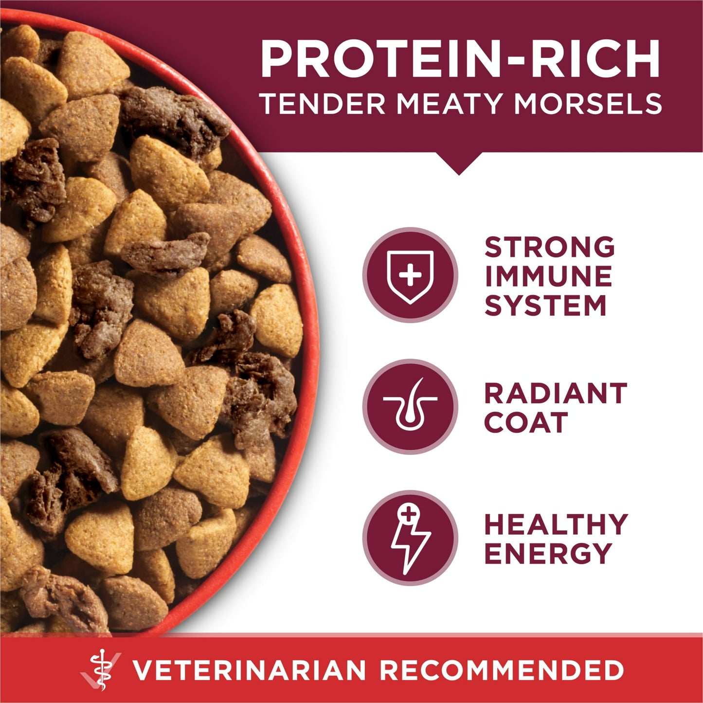 Purina ONE Small Bites Dry Dog Food for Adult Dogs with Added Vitamins & Minerals, High Protein Beef & Rice, 8 lb Bag