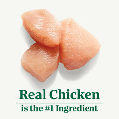 Nutro Natural Choice Puppy Dry Dog Food, Chicken And Brown Rice Recipe, 5 Lbs.