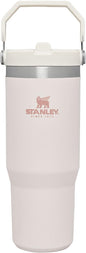 STANLEY IceFlow Stainless Steel Tumbler with Straw, Vacuum Insulated Water Bottle for Home, Office or Car, Reusable Cup with Straw Leak Resistant Flip