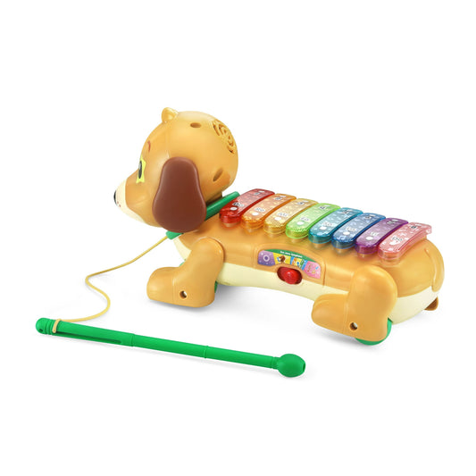 VTech Zoo Jamz Doggy Xylophone with Accessories, Baby and Toddler Toys