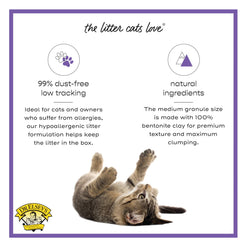 Dr. Elsey's¨ Clean Tracksª Clumping Clay Cat Litter 20 lb. Box