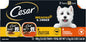 CESAR Adult Wet Dog Food Classic Loaf in Sauce Breakfast and Dinner Mealtime Variety Pack, 3.5 oz. Easy Peel Trays, Pack of 12