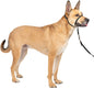 PetSafe Gentle Leader No-Pull Dog Headcollar - The Ultimate Solution to Pulling - Redirects Your Dog's Pulling For Easier Walks - Helps You Regain Control - Medium , Black