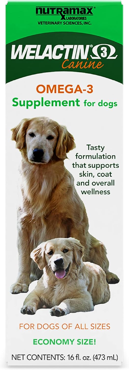 Nutramax Welactin Omega-3 Fish Oil Skin and Coat Health Supplement Liquid for Dogs - 16 Ounce