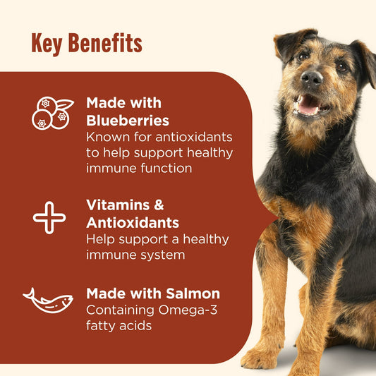 Nutrish Everyday Immune Support Chicken, Salmon, Blueberry & Pumpkin Recipe Dry Dog Food, 13lb Bag