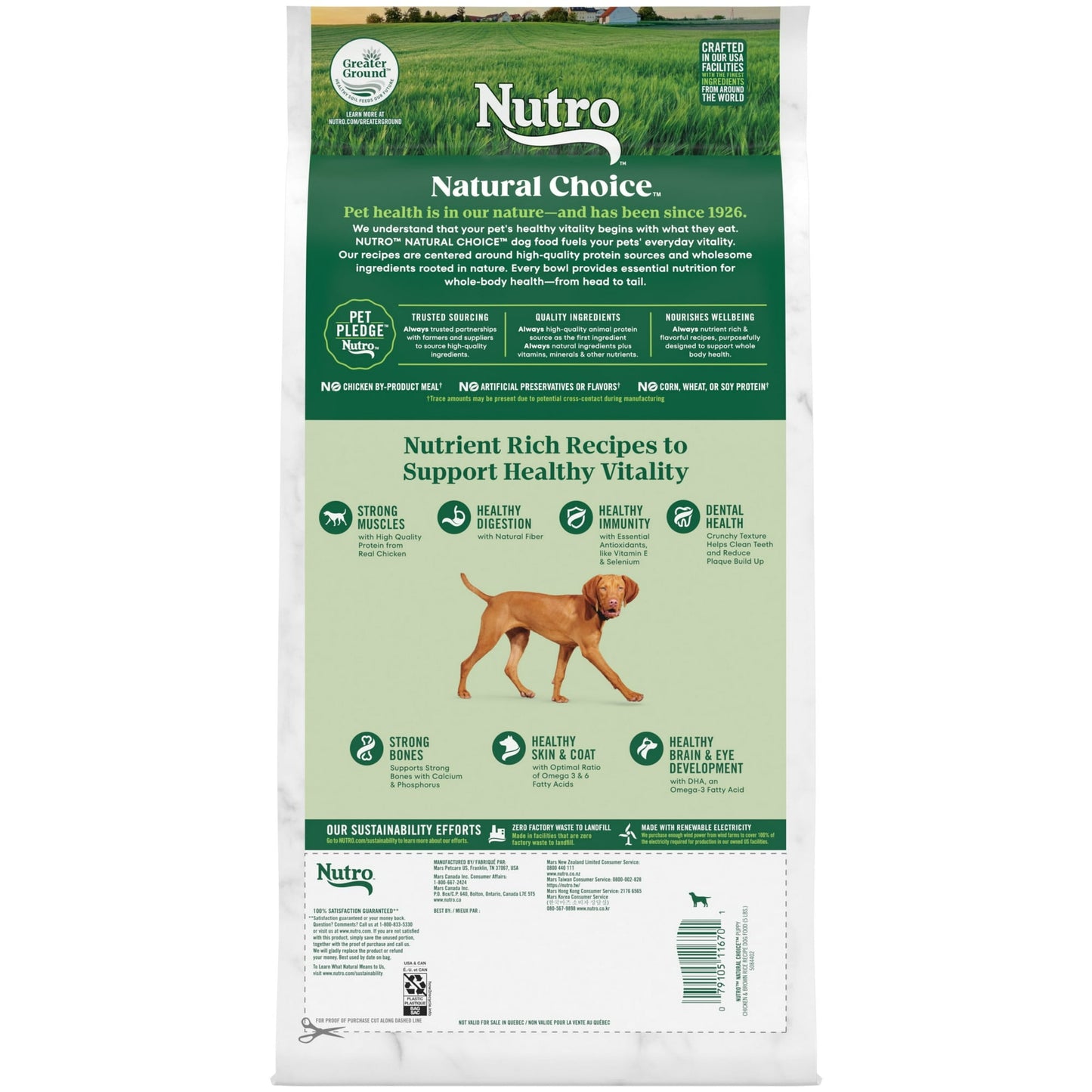 Nutro Natural Choice Puppy Dry Dog Food, Chicken And Brown Rice Recipe, 5 Lbs.