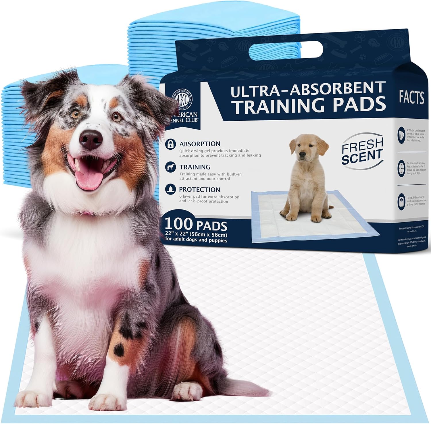 Kennel Club Scented Puppy Training Pads with Ultra Absorbent Quick Dry Gel – 22 x 22 Pee Pads for Dogs - Fresh Scented - Pack of 100