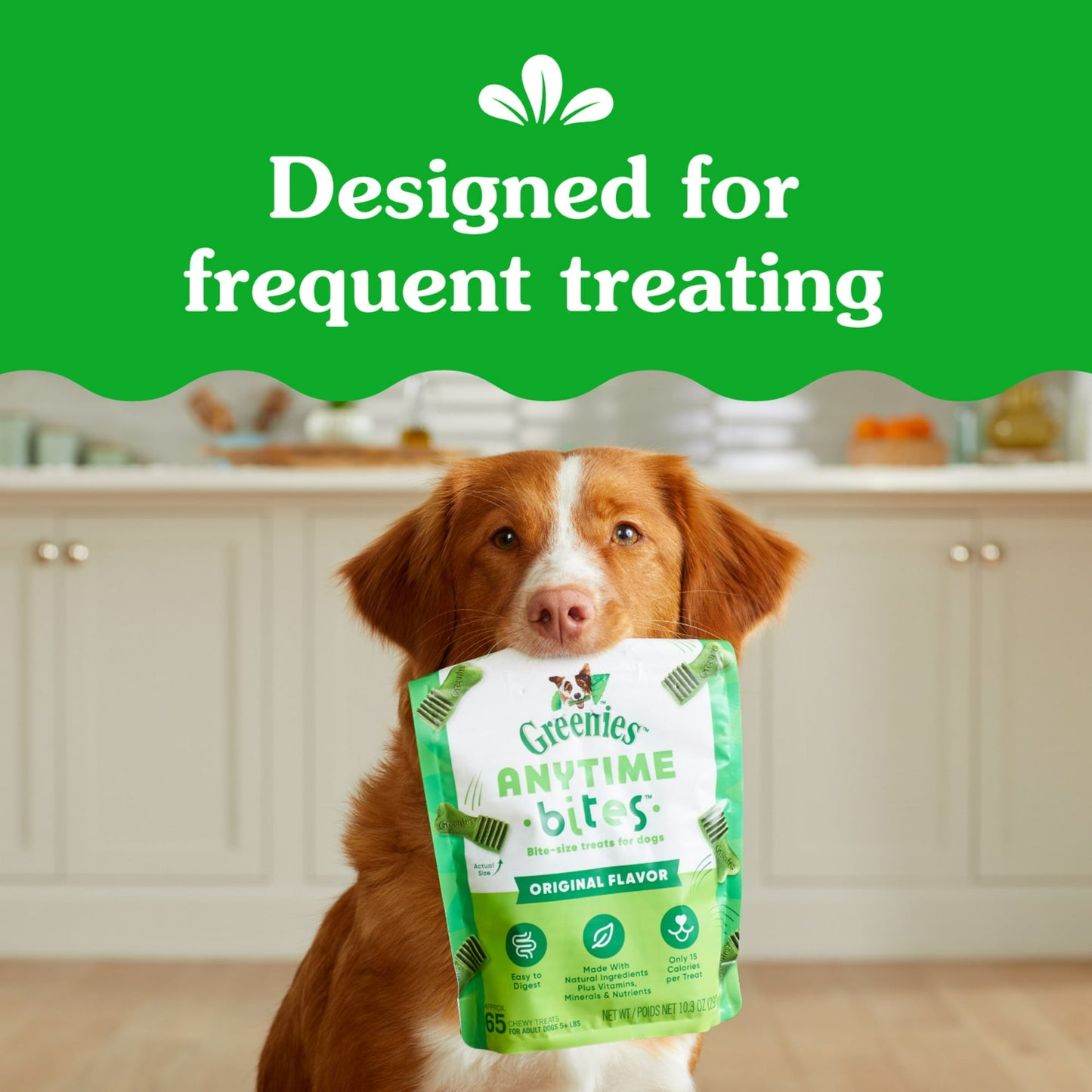 Greenies Anytime Bites Dog Treats, Original Flavor, 24 Oz Bag
