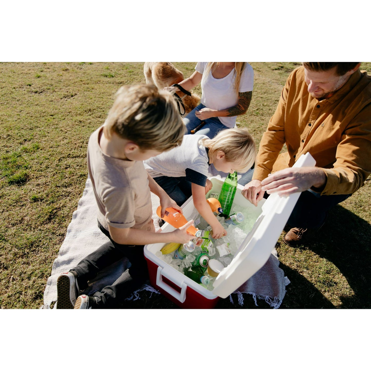 Igloo 48 QT Laguna Ice Chest Cooler, Red
