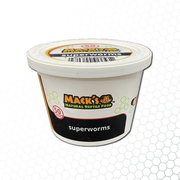 Mack's Natural Reptile Food 1 x Cup of 50 Large Superworms