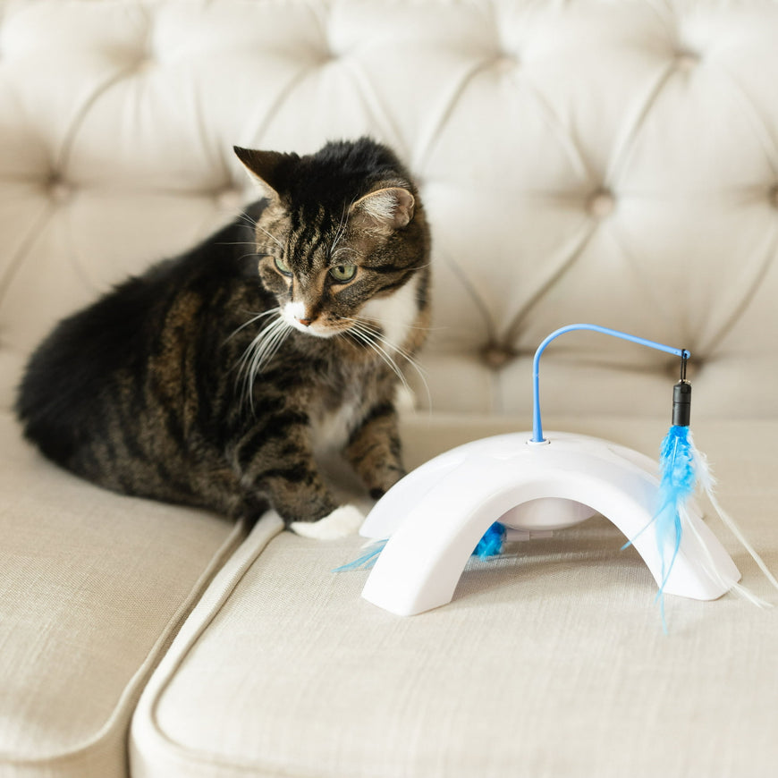 Vibrant Life Dual Swatter Electronic Cat Toy