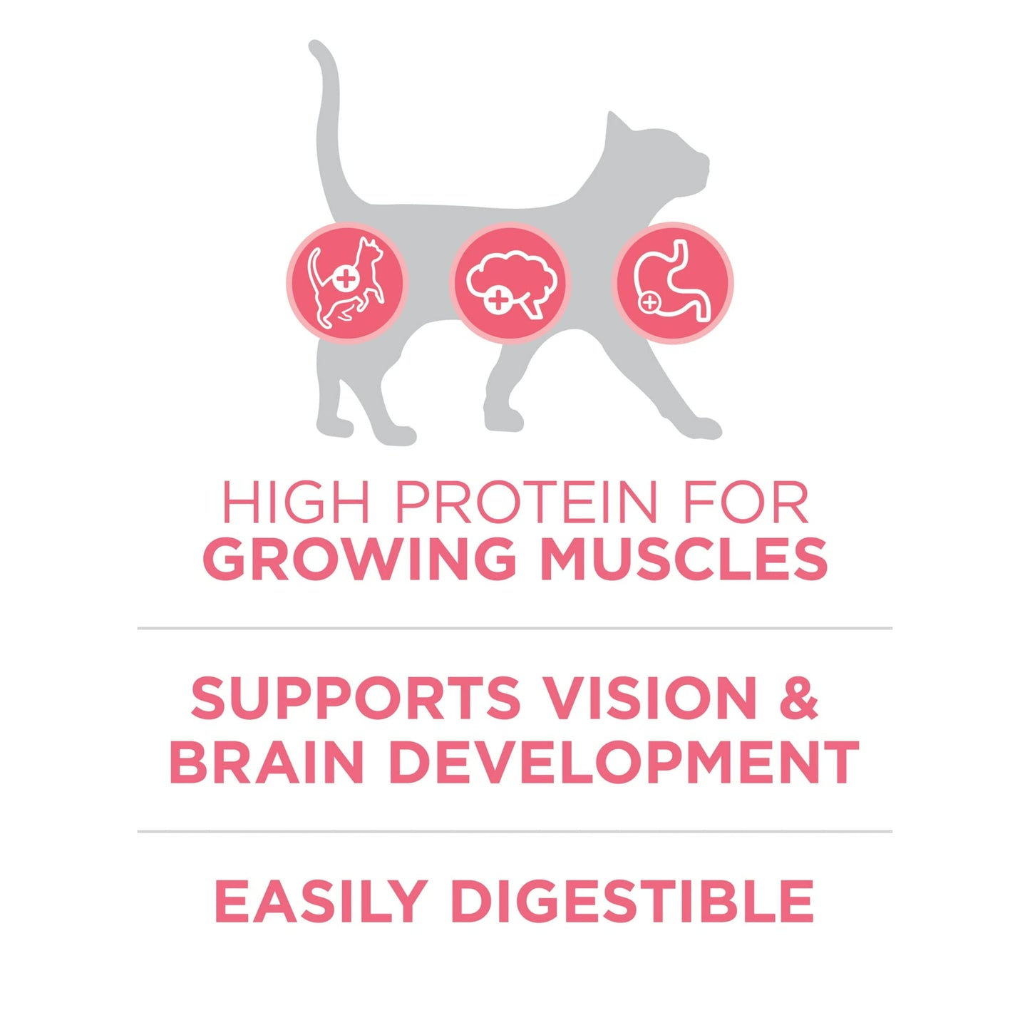 Purina ONE Plus, Healthy Kitten Formula, Dry Kitten Food, Chicken, 7 lb Bag