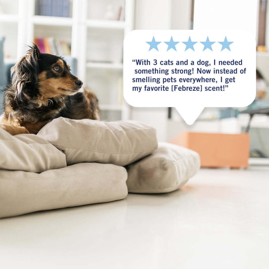 Febreze Plug In Air Freshener, Odor-Fighting Scented Oil Refill, Downy April Fresh, 3 Refills