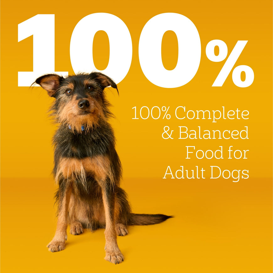 Pedigree Complete Nutrition Adult Dry Dog Food Grilled Steak & Vegetable Flavor, 30 Lb Bag