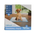 Vibrant Life Training Pads Ð Super Absorbent, Leak Proof, & Fast Dry Dog and Puppy Pee Pads Ð L 22_in x 22_in, 100_Count